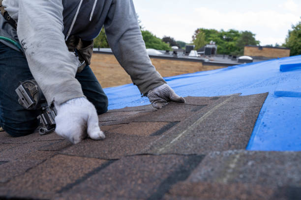 Residential Roof Replacement in Rosedale, MS