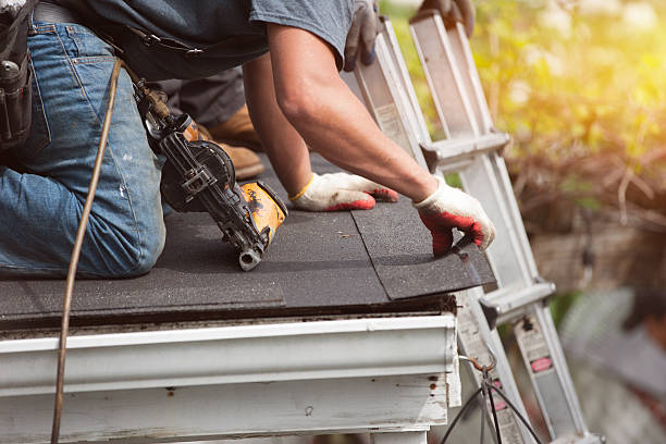 Best Metal Roofing Contractor  in Rosedale, MS
